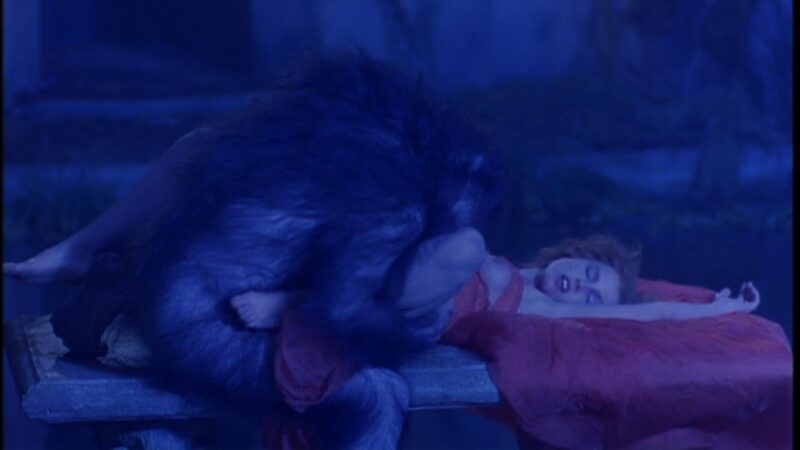 Francis Ford Coppola 'Bram Stoker’s Dracula'