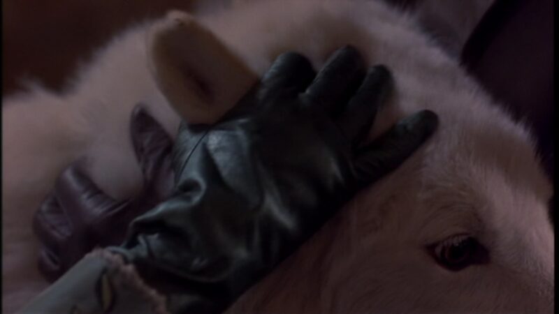 Francis Ford Coppola 'Bram Stoker’s Dracula'