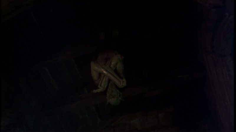 Francis Ford Coppola 'Bram Stoker’s Dracula'